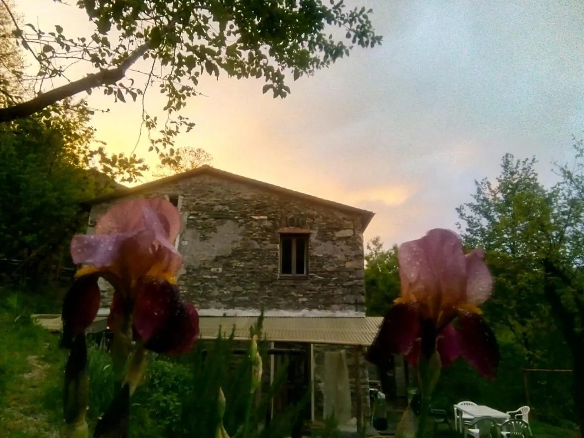 B&B Stefano Neirone