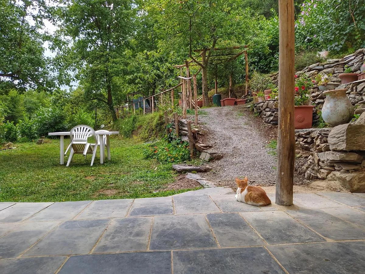 Bed & Breakfast B&B Stefano Neirone